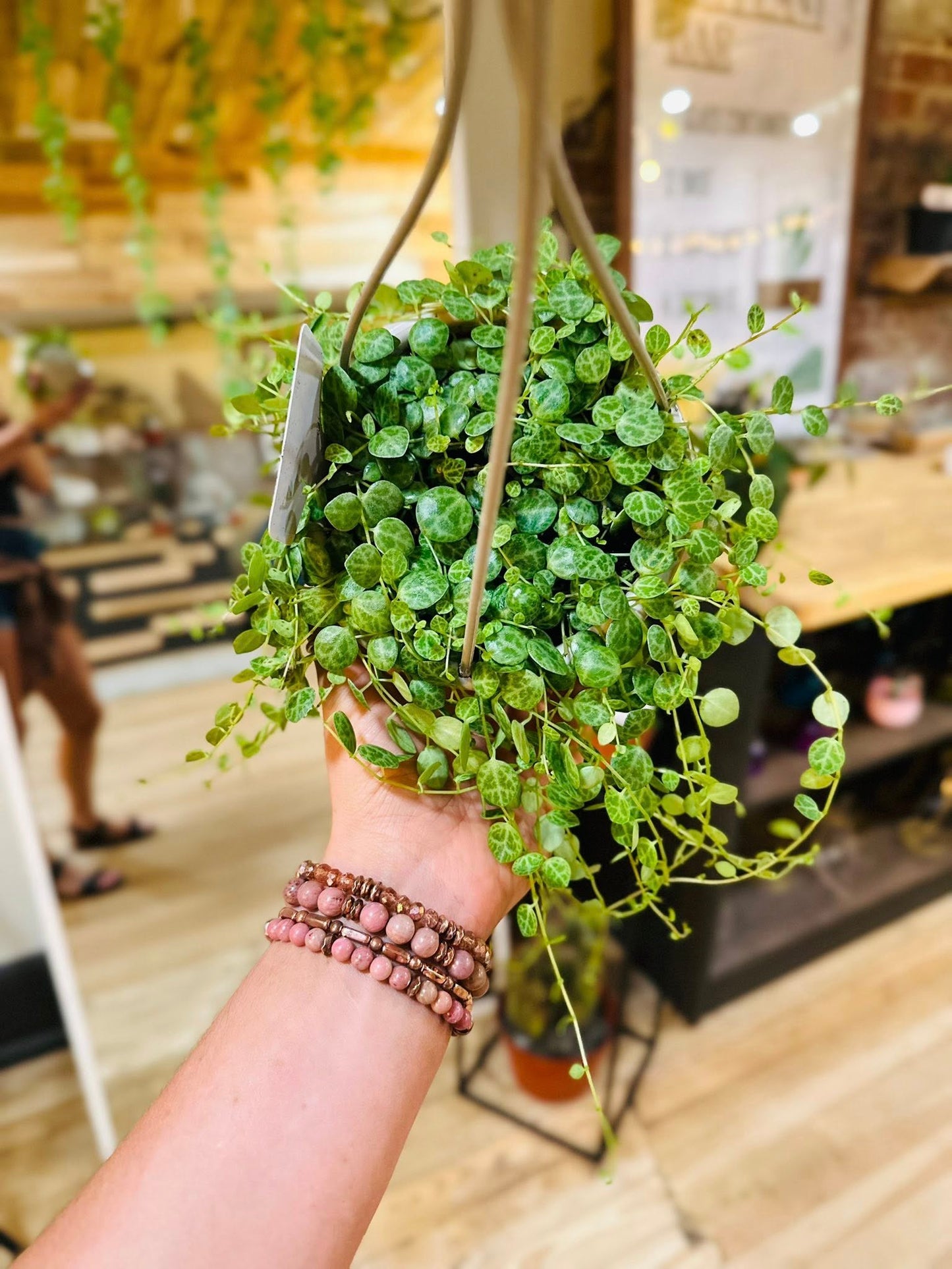 4.5" String of Turtles Basket