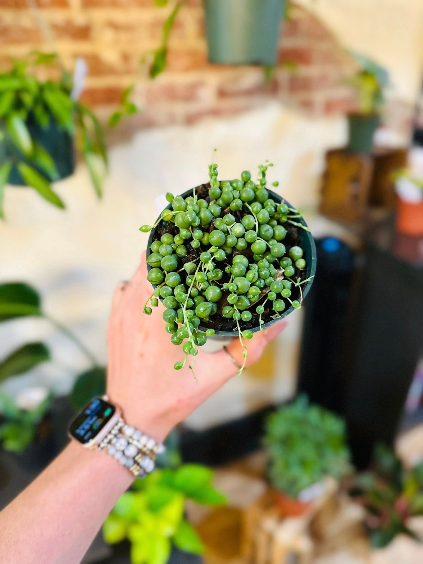 4" String of Pearls