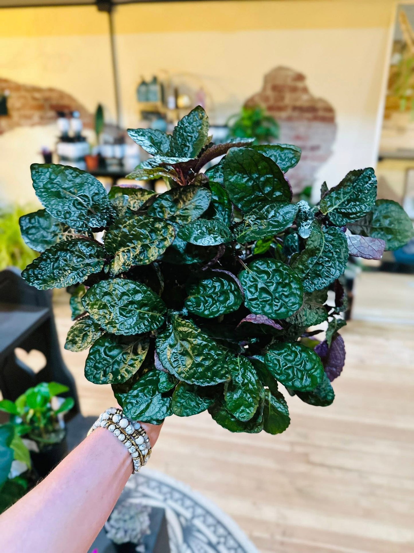 4" Purple Waffle