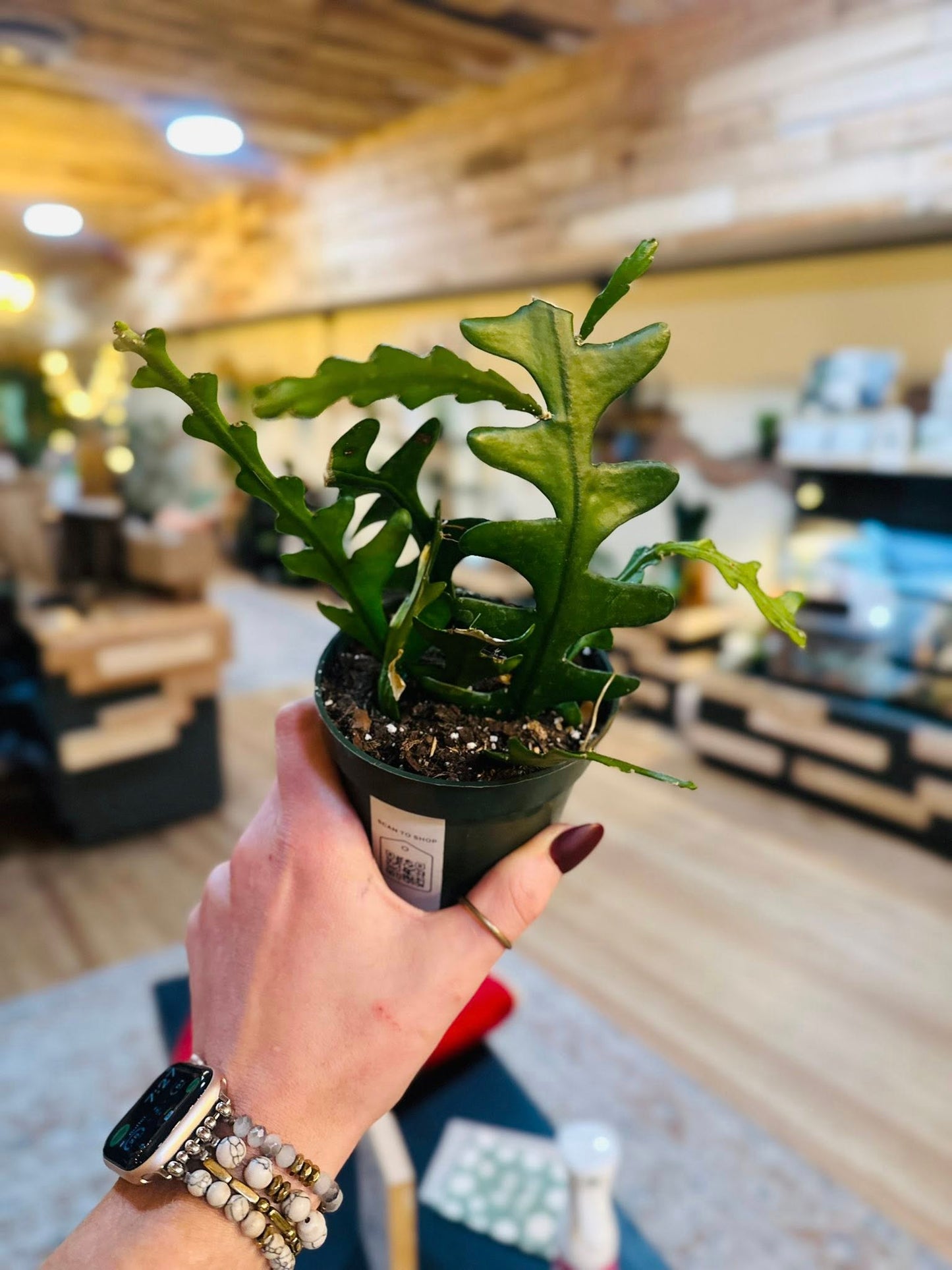4" Ric Rac Cactus