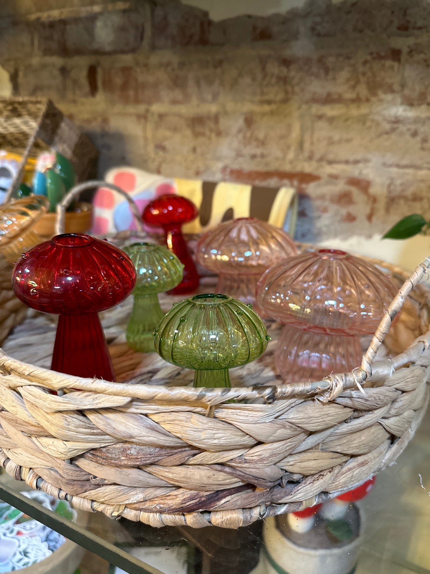 Glass Mushroom Propagation Stations