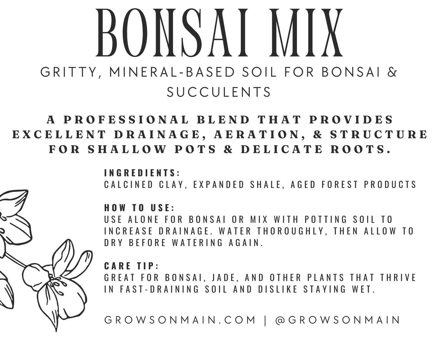 Bonsai Mix