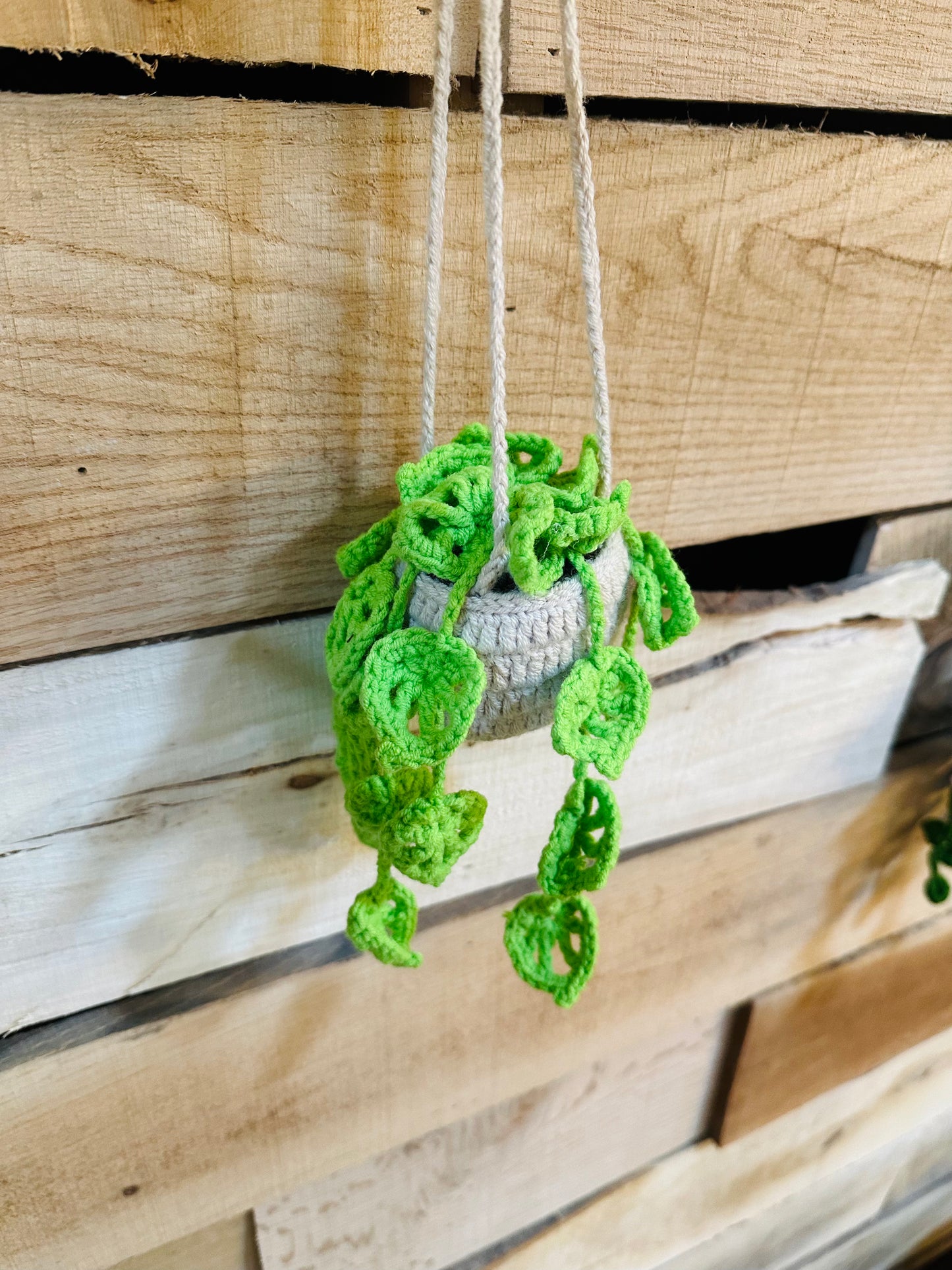 Crochet Hanging Plant