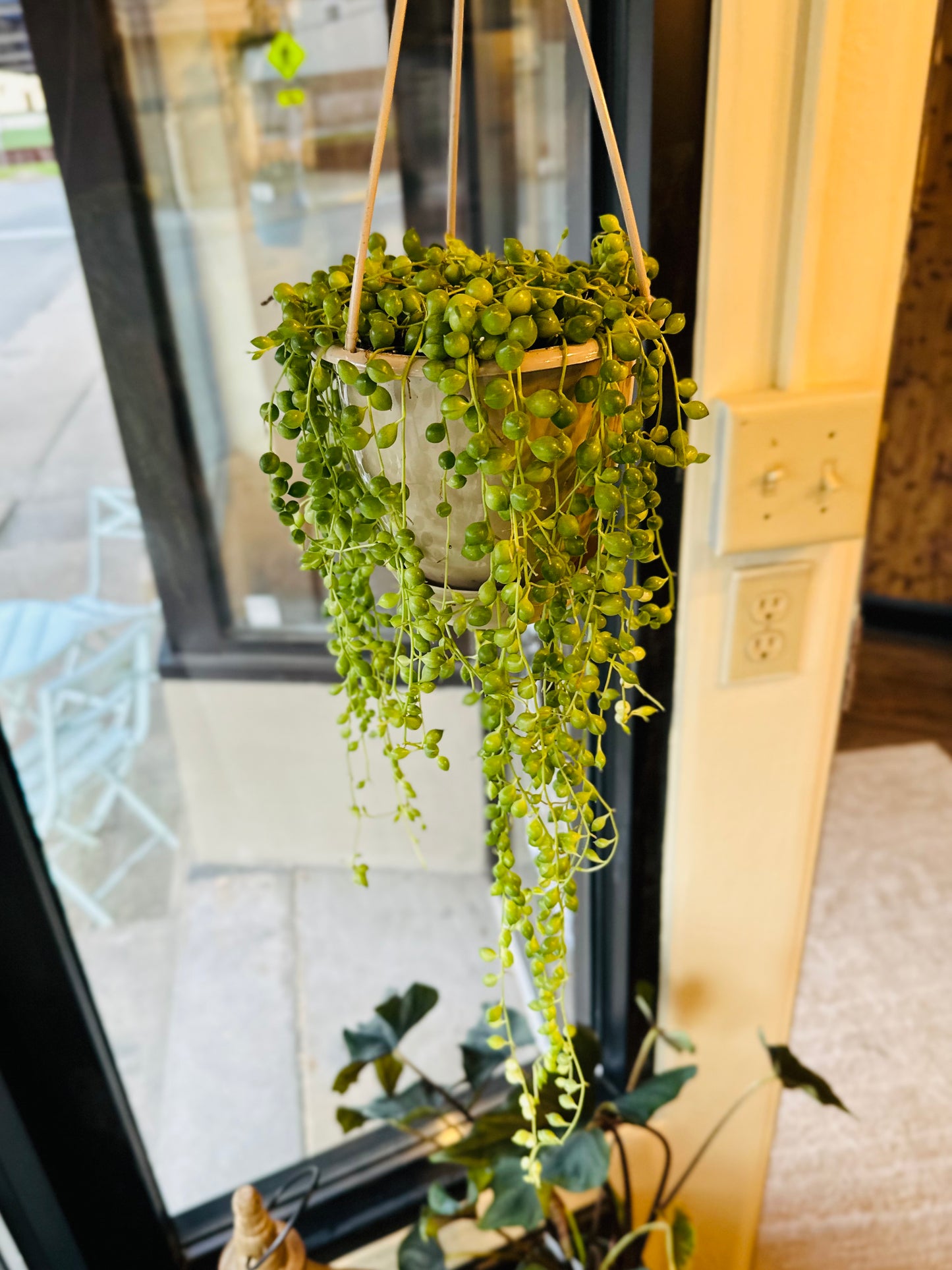 4.5" String of Pearls Basket