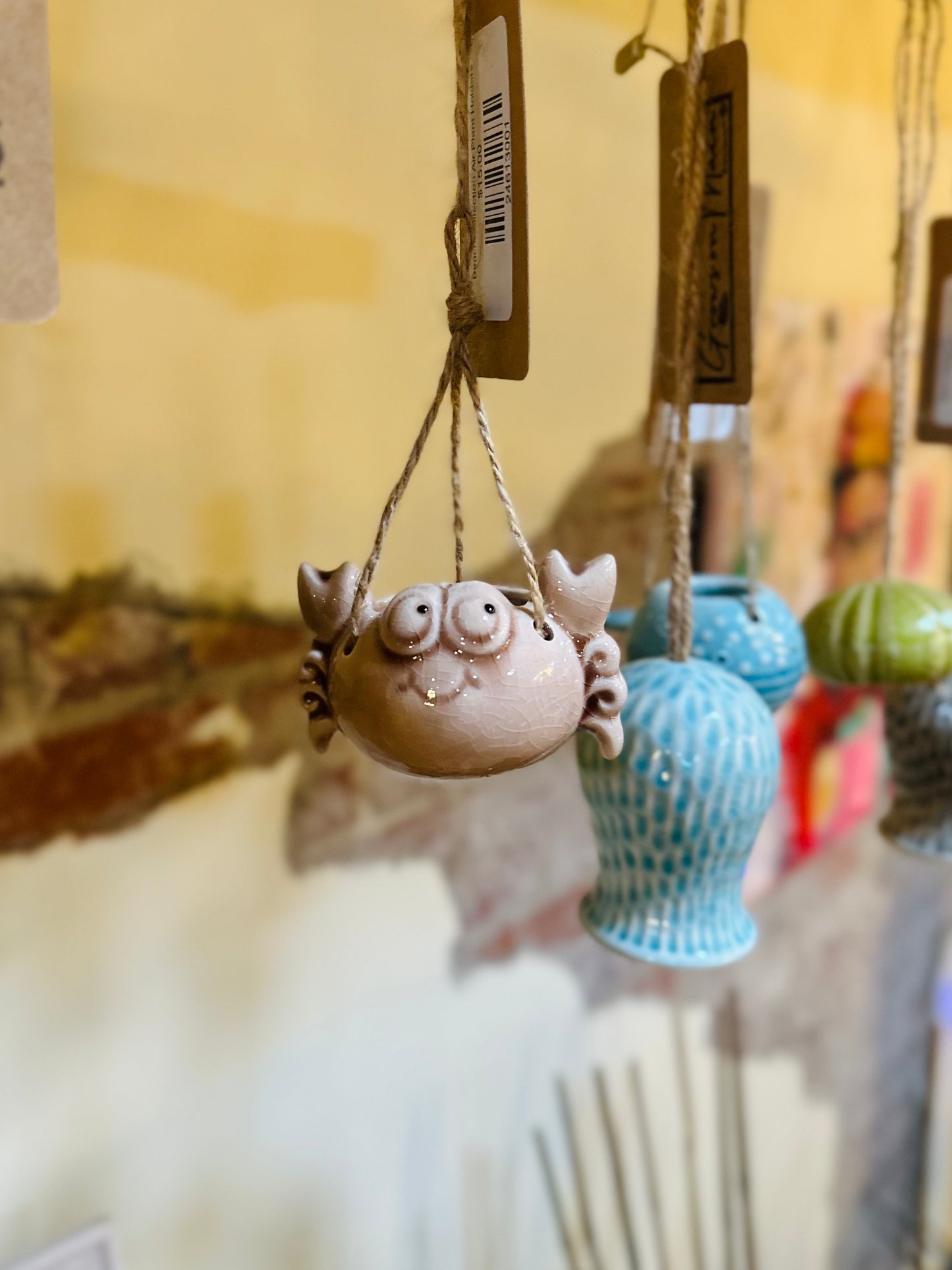 Beach Collection Air Plant Holders