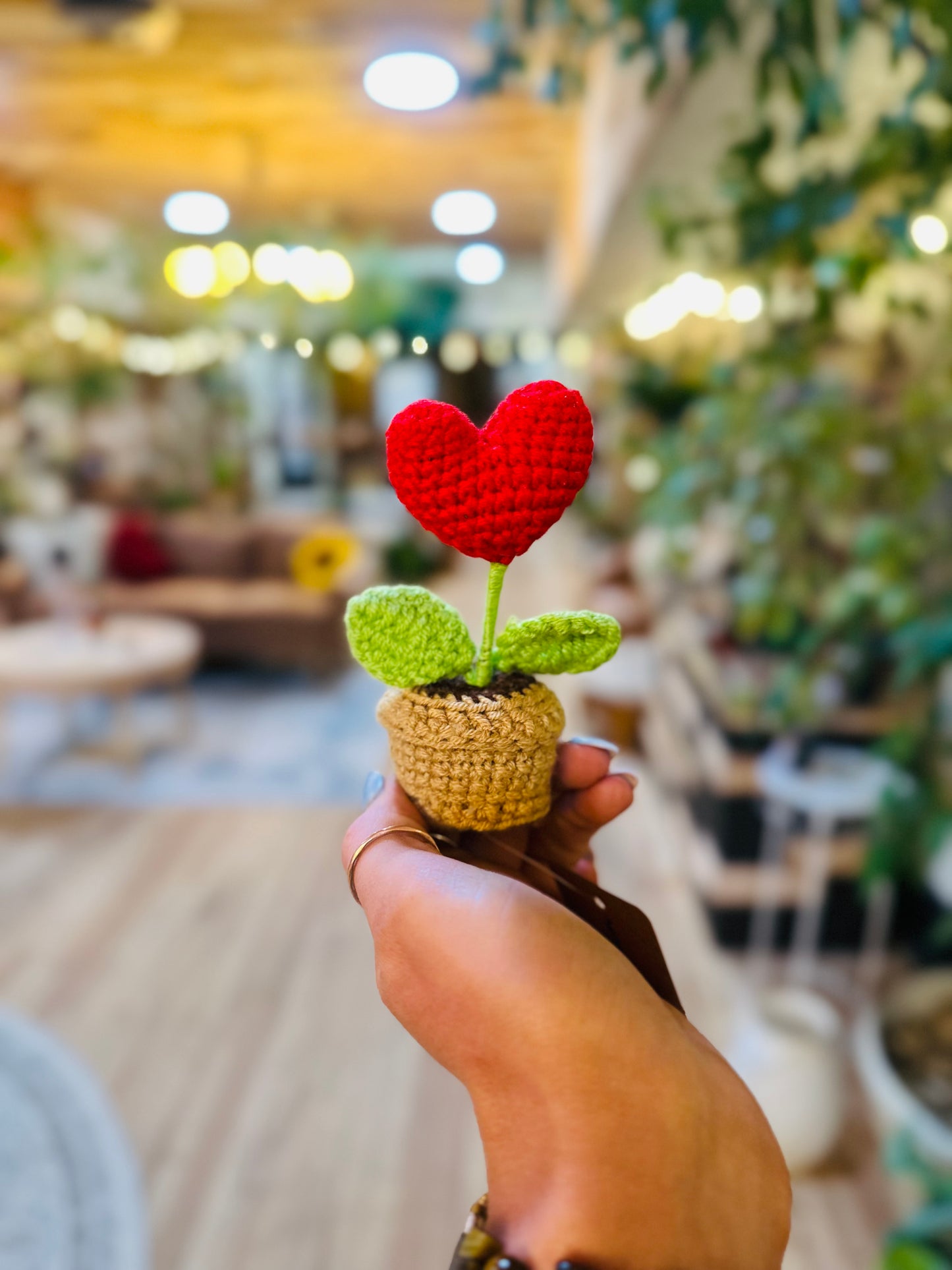 Crocheted Heart