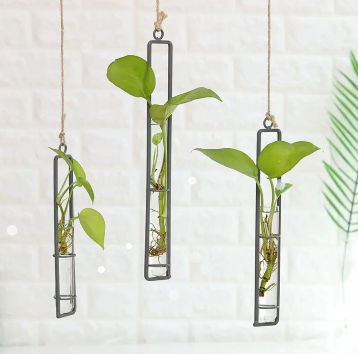 Hanging Propagation Station