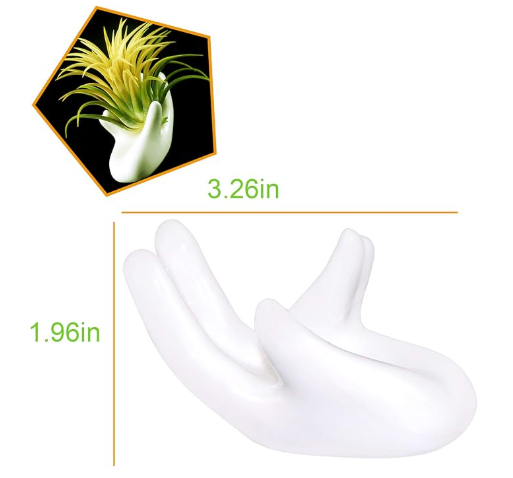 air plant hand holder Air Plant Hand Stand