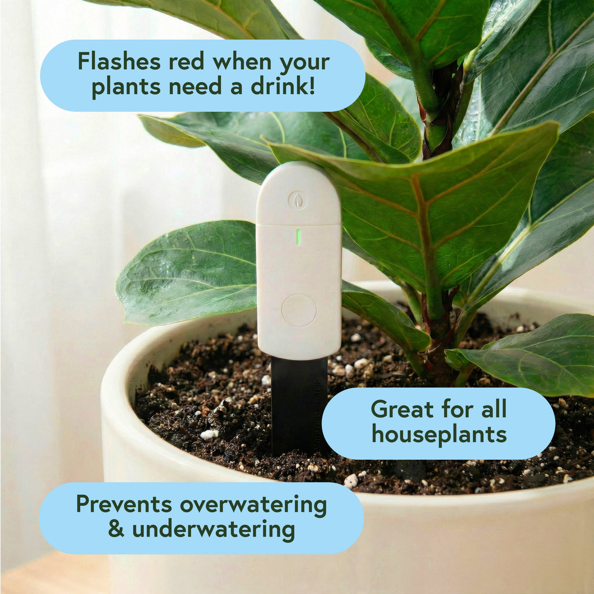 Soil Moisture Meter