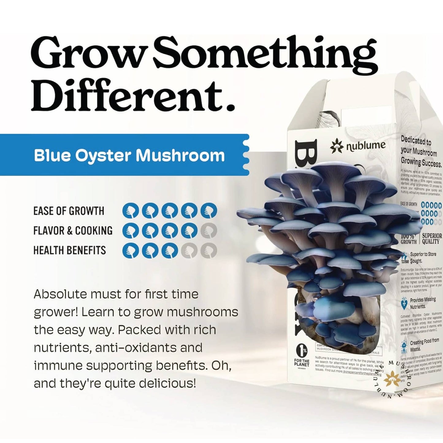 Blue Oyster Mushroom Grow Kit