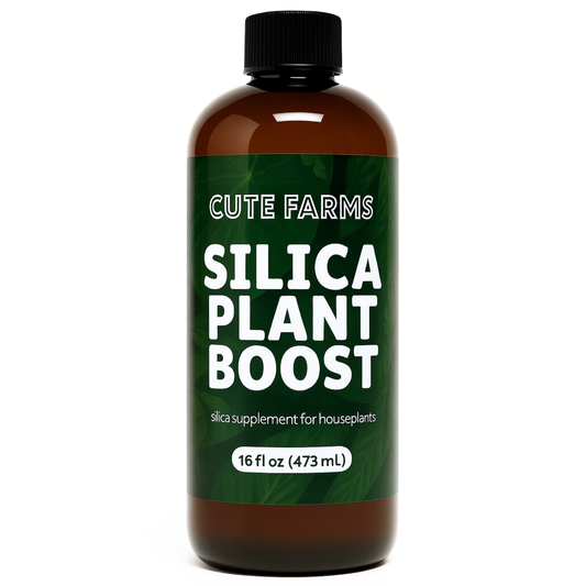 Silica Plant Boost