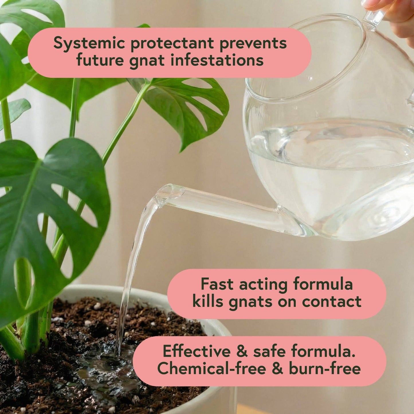 Anti-Gnat Concentrate Drops