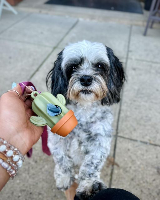 Pet Poop Bag Dispenser