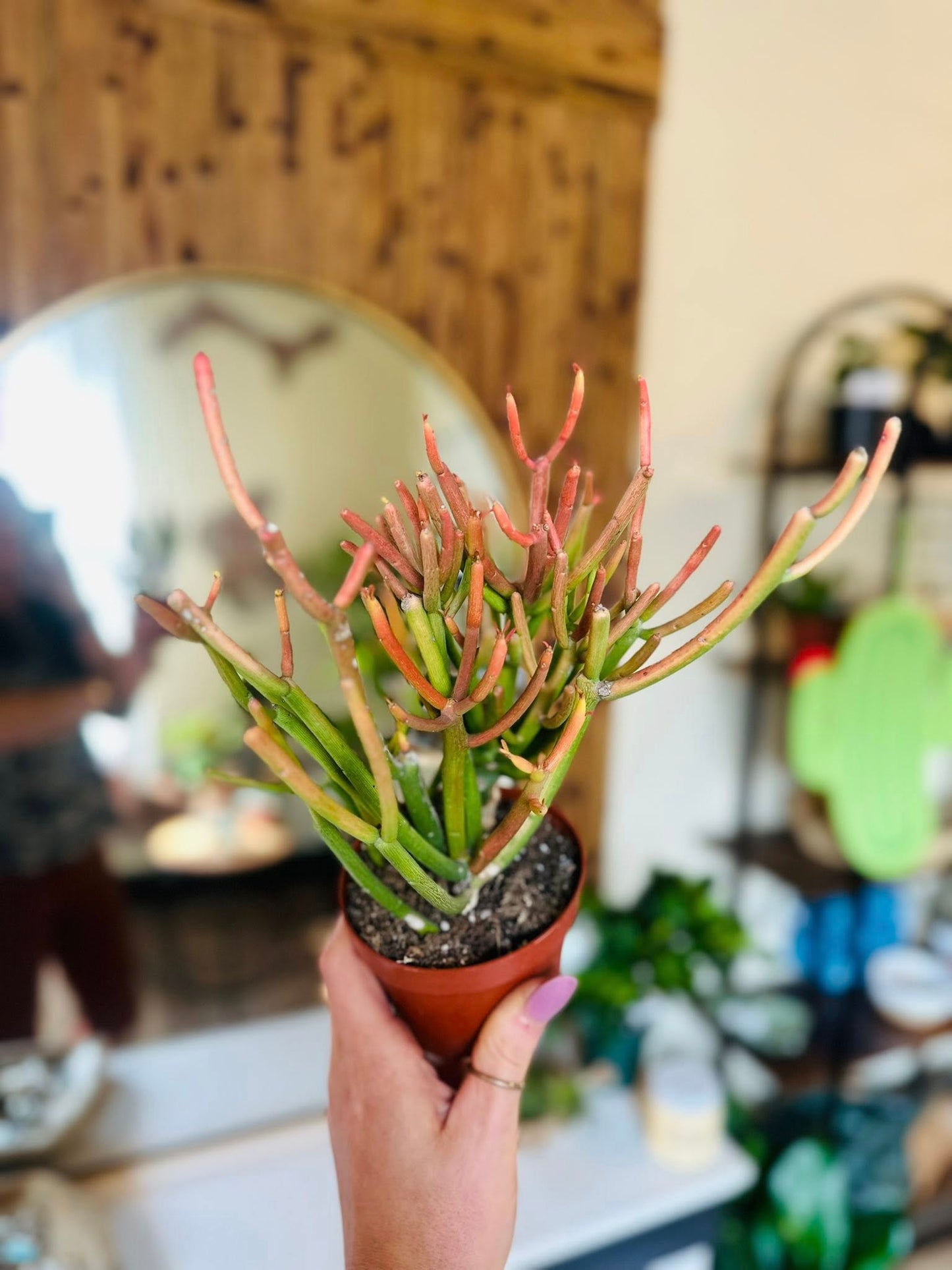 4" Sticks of Fire