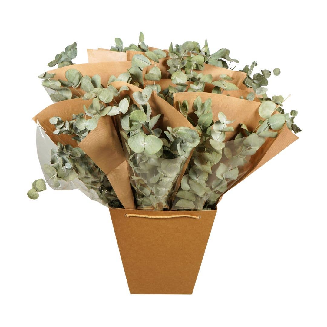 Dried Eucalyptus Bundle