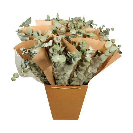 Dried Eucalyptus Bundle