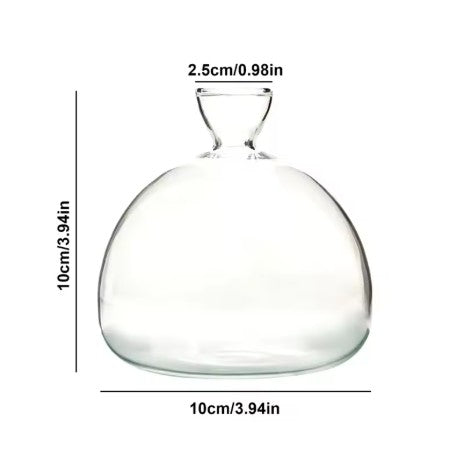 Avocado Seed Vase
