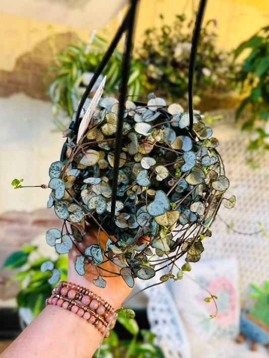 6" String of Hearts Basket
