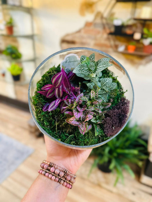7" Slope Glass Terrarium