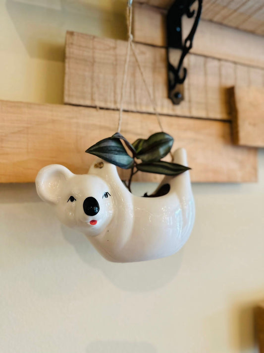 Koala Planter