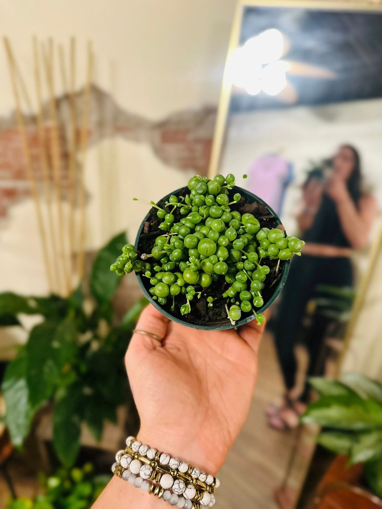 4" String of Pearls