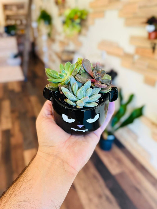 3.5" Vamp Pot