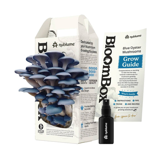 Blue Oyster Mushroom Grow Kit