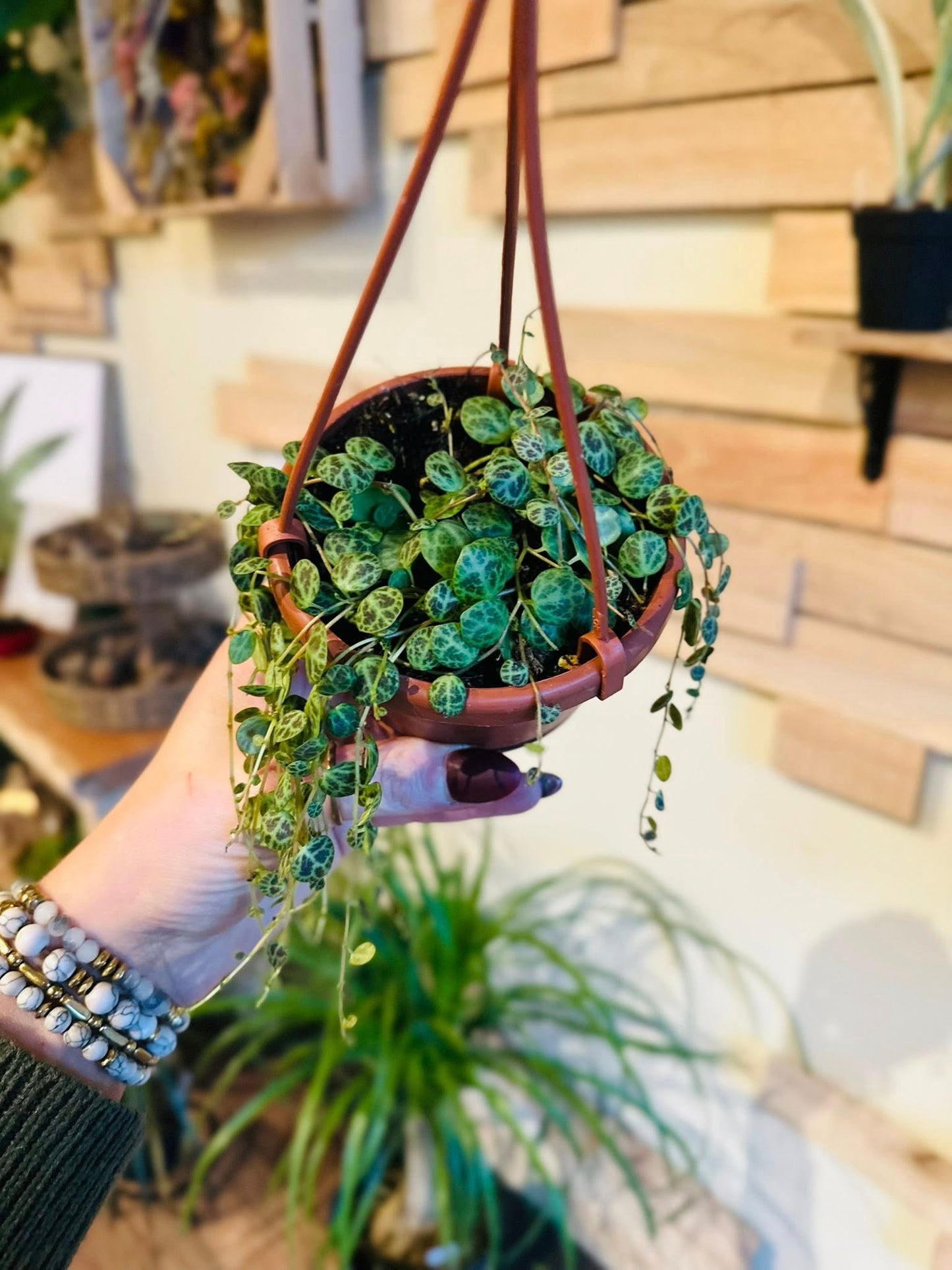 4" String of Turtles Basket