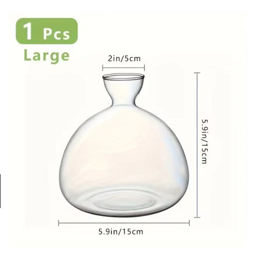 Avocado Seed Vase
