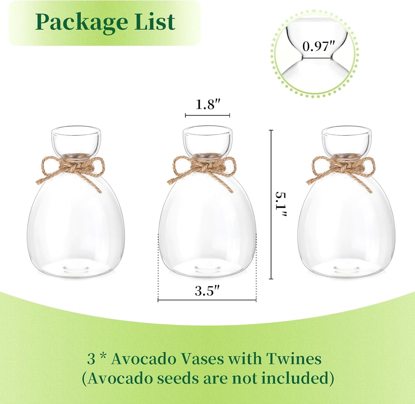 Avocado Seed Vase