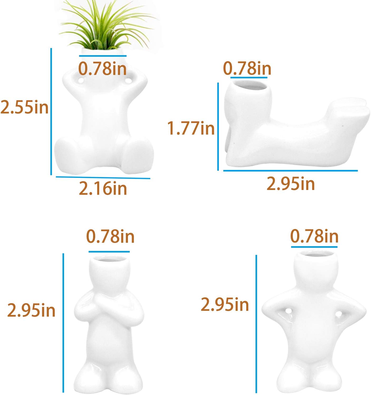 Air Plant Pals
