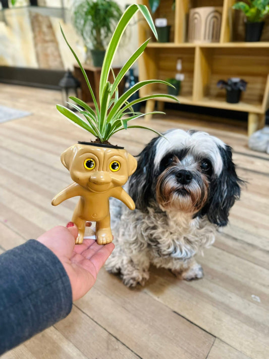 Troll Planter