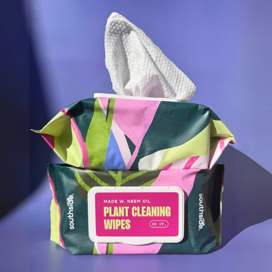 Houseplant Cleaning & Dusting Wipes