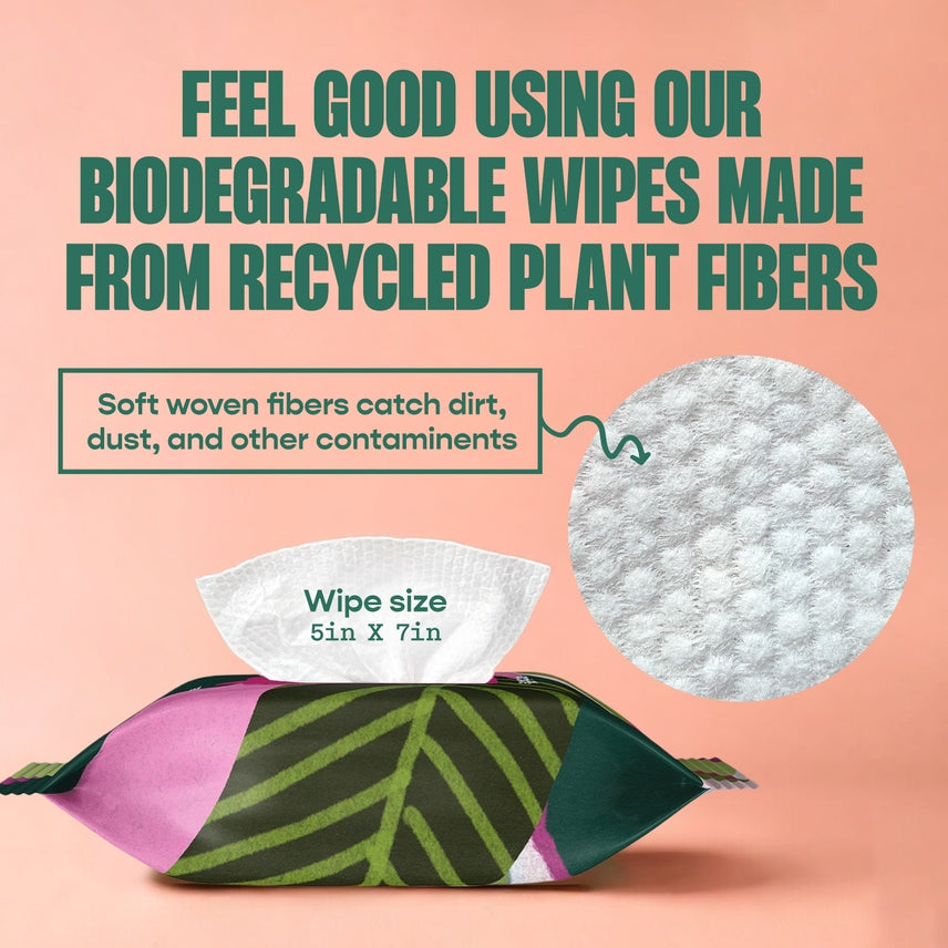 plant wipes for indoor plants Houseplant Cleaning Wipes – Grows on Main