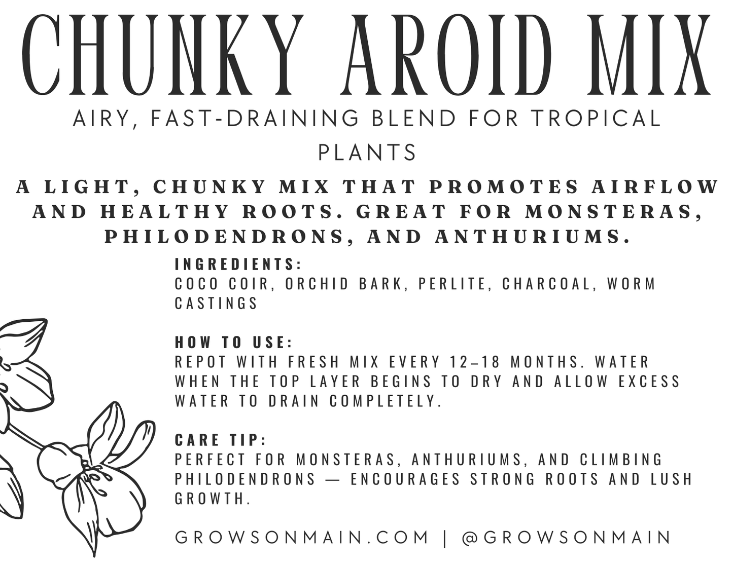 Chunky Aroid Mix