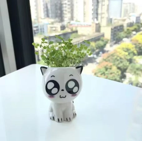 Kitty Planter