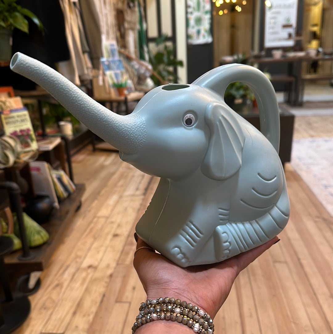 Animal Watering Can
