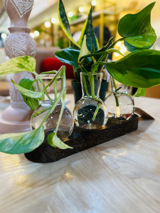 Propagation Station