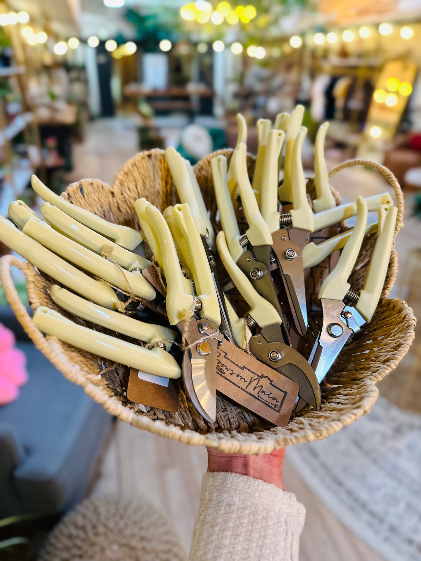 Pruning Shears