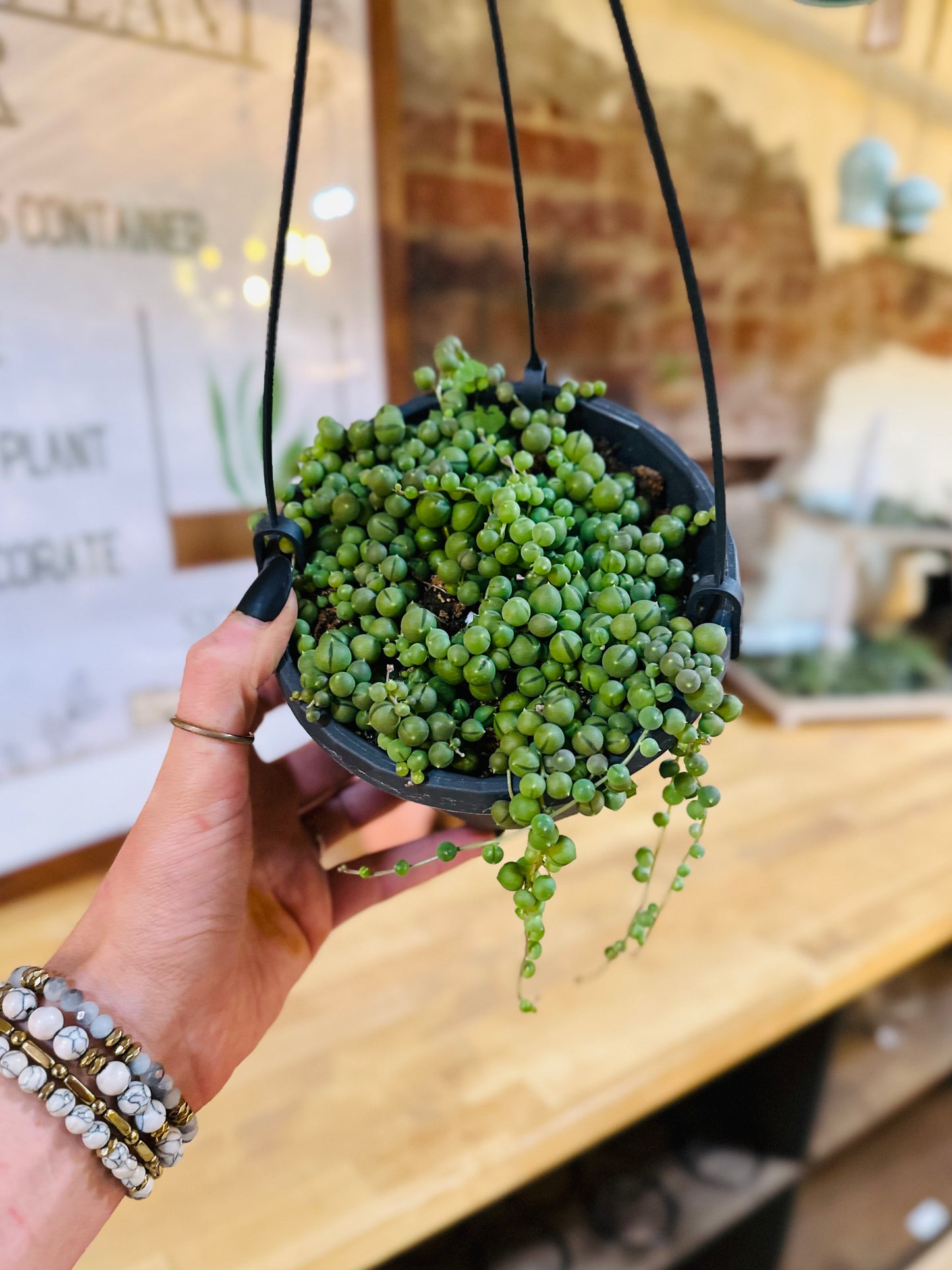 6" String of Pearls Basket