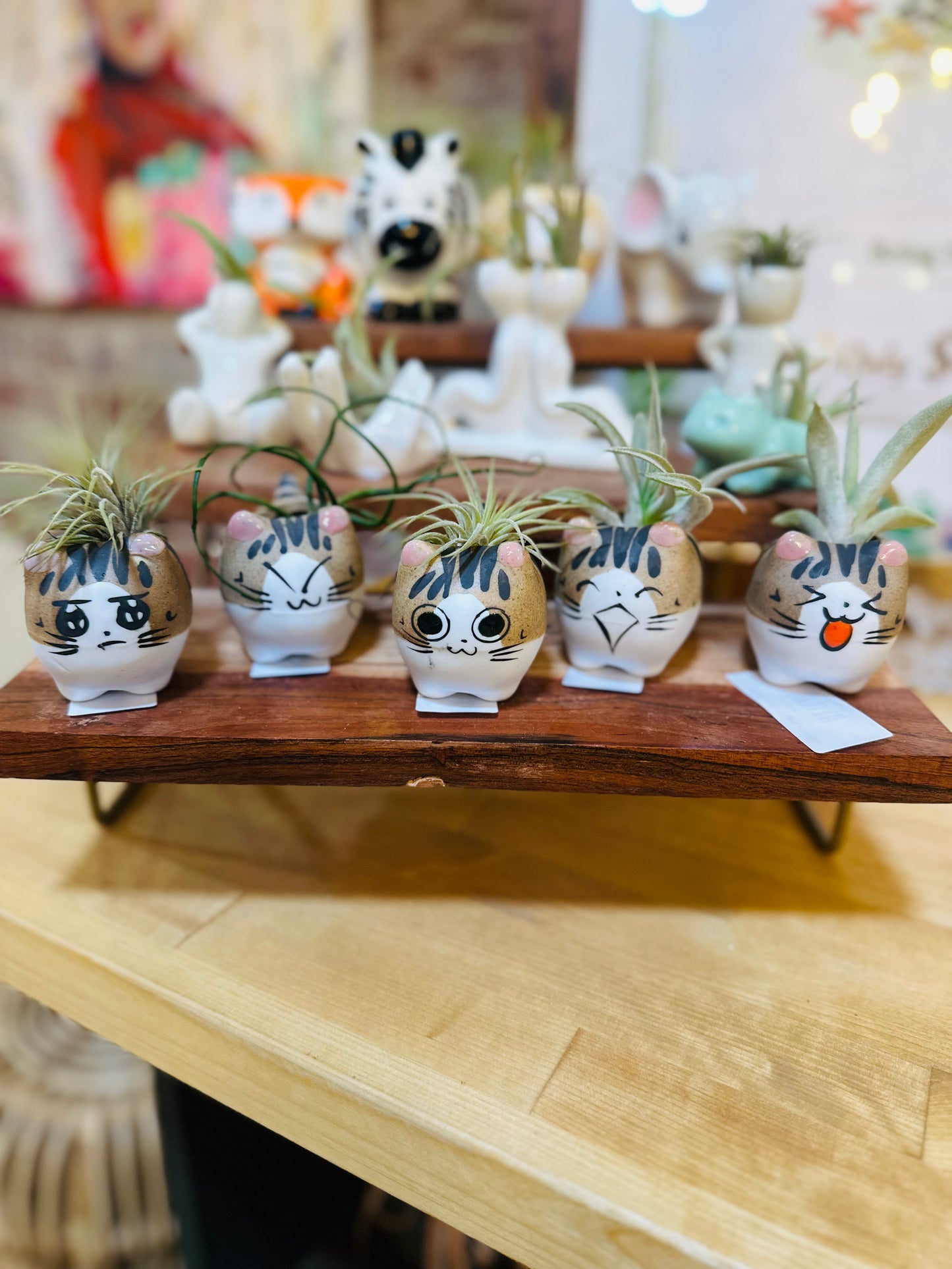 Cartoon Cat Air Plant Holder