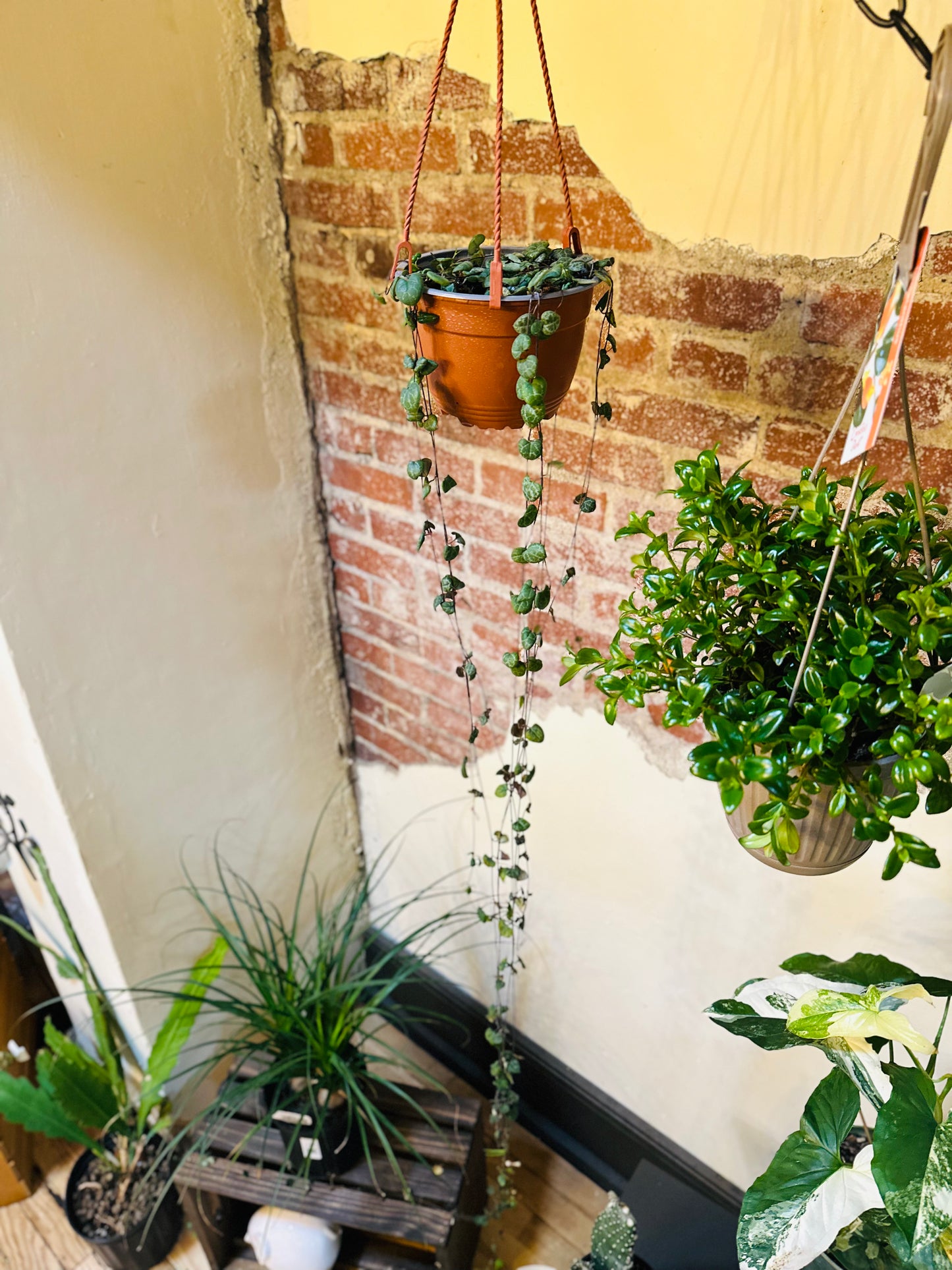 6" String of Hearts Basket