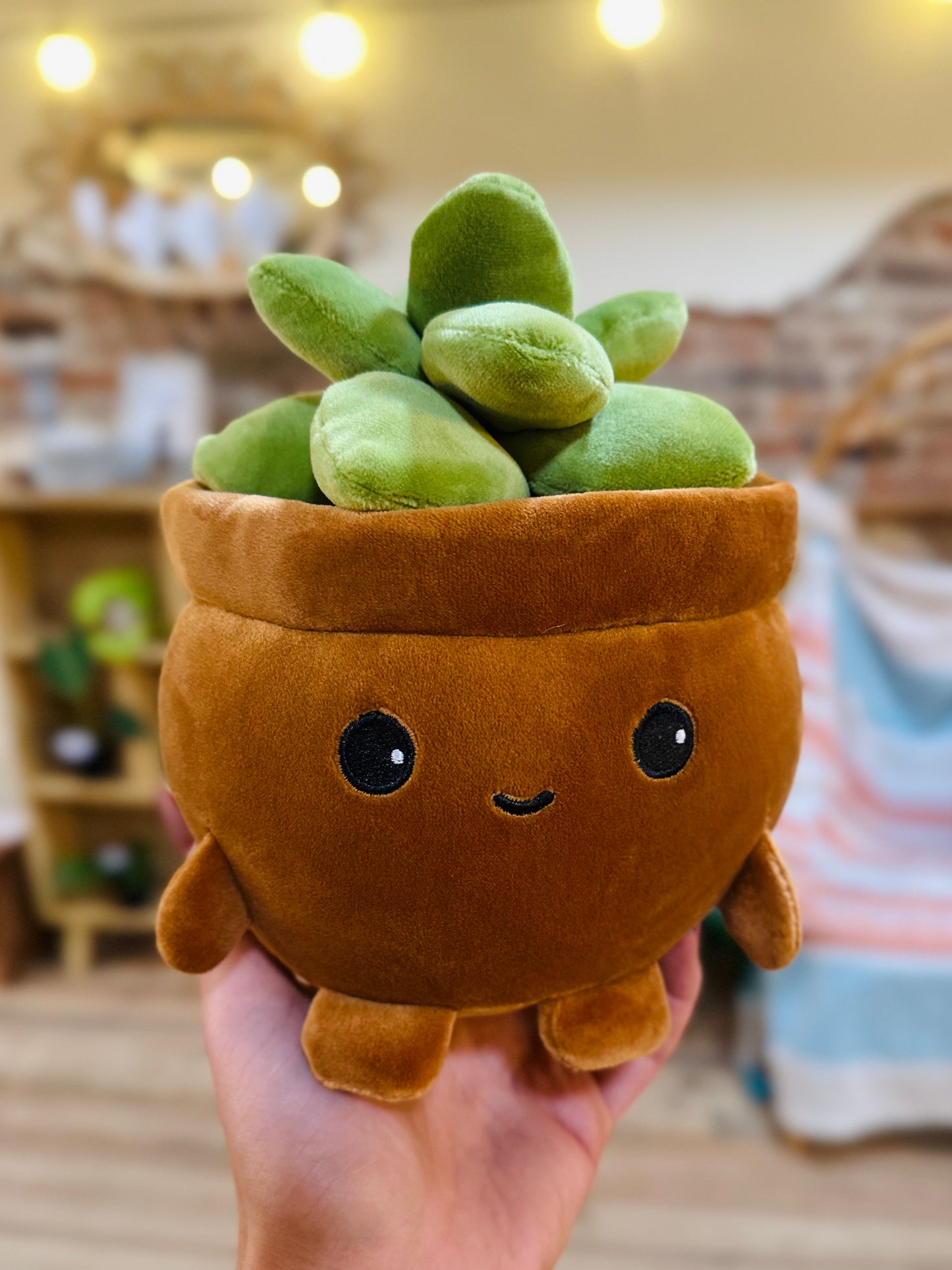 Succulent Plush