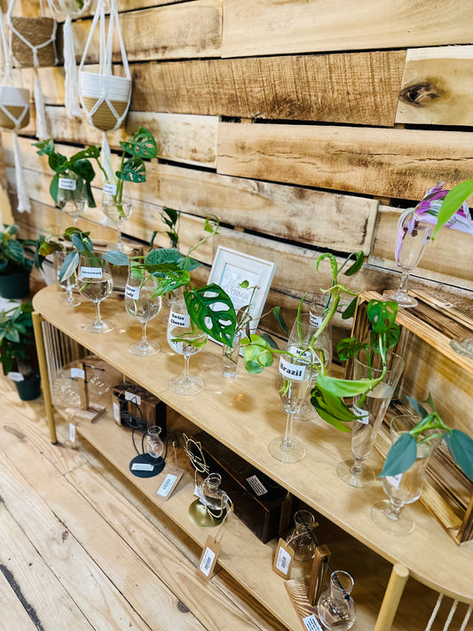 Cuttings