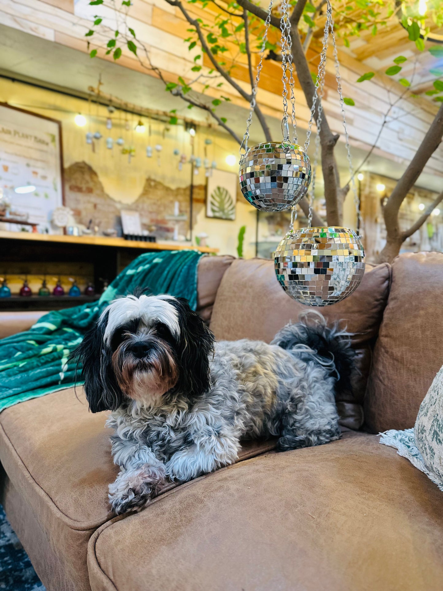 Disco Ball Planter