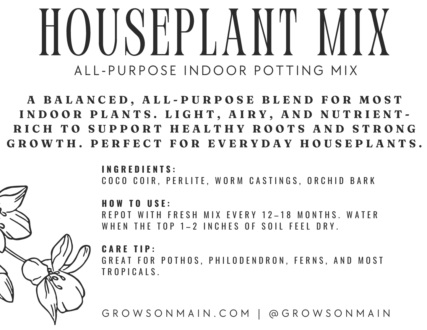 Houseplant Mix