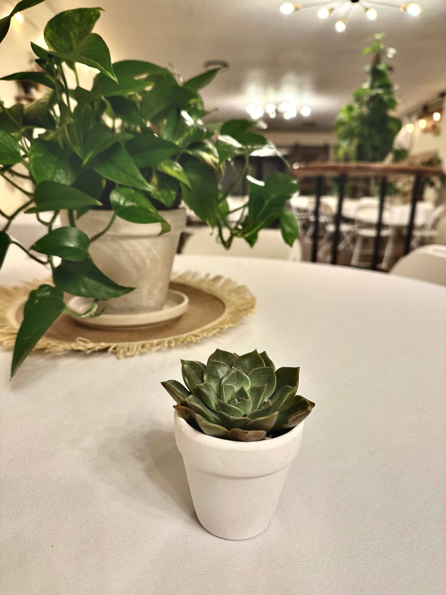 Root Cellar Event Space