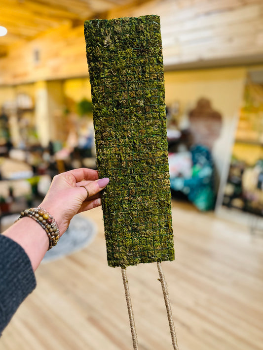 Flat Moss Pole