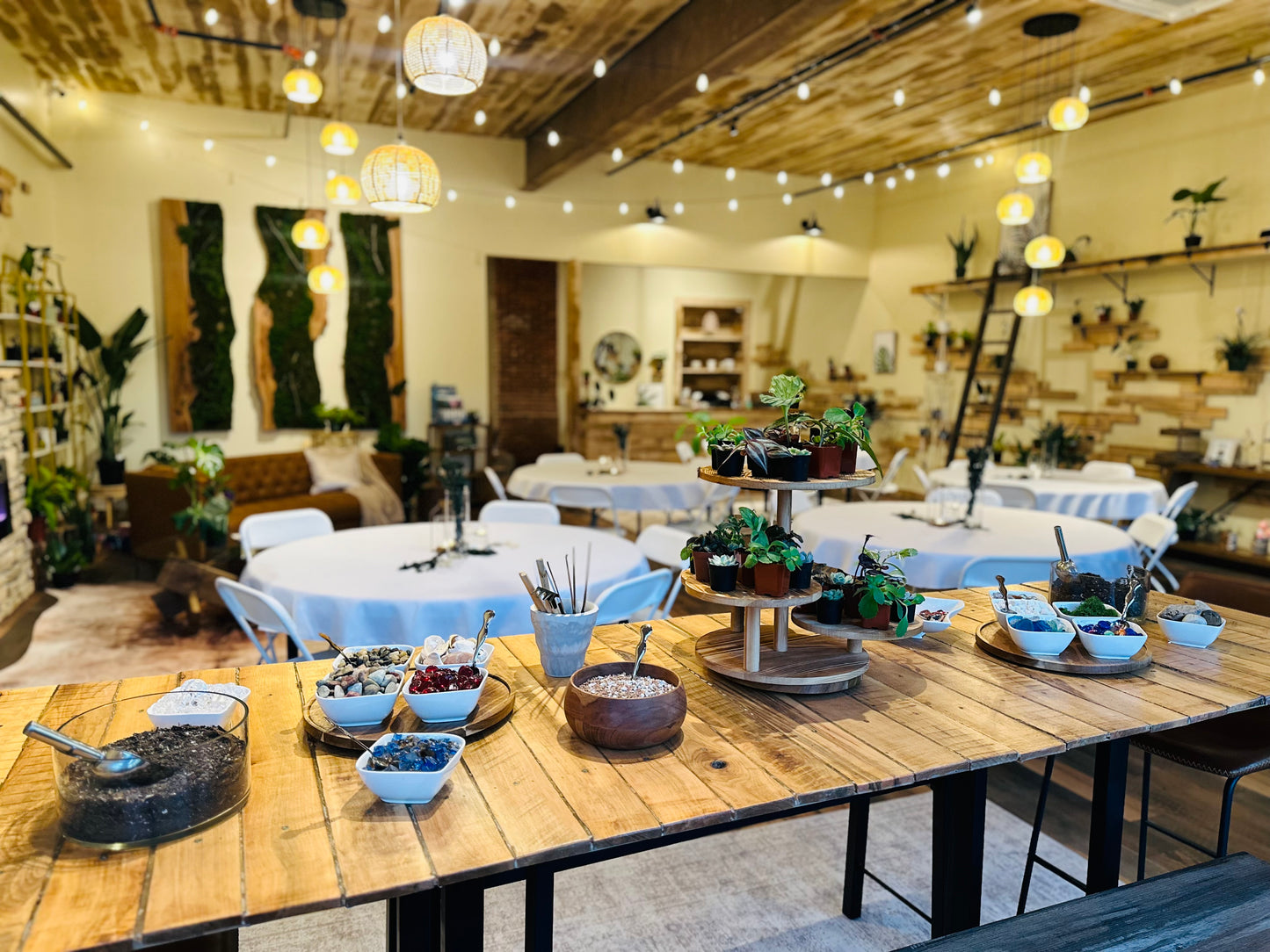 Bloom Room Zelie