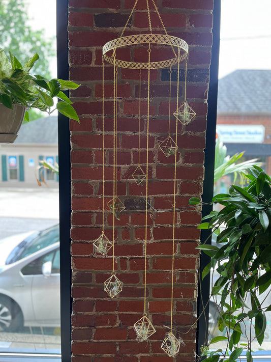 Gold Geometric Cascade Air Plant Hanger